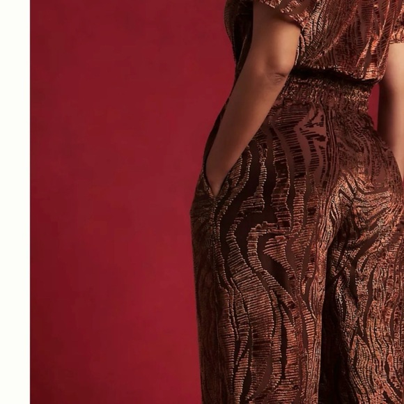 Anthropologie A+ Somerset Jumpsuit Velvet
Burnout Edition Flare Rusty Wine Pink - Picture 6 of 9